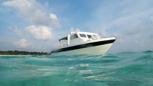 Thoddoo Diving Center (PDH Maldives) / Русский дайв-центр на Тодду place picture