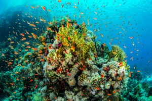 getty images o9iSB smxI4 unsplash