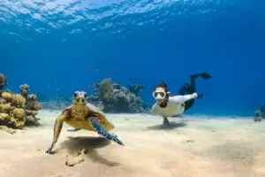 Diving Adventure
