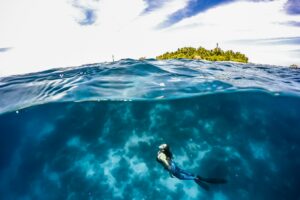 diving in the Maldives
