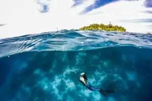 diving in the Maldives